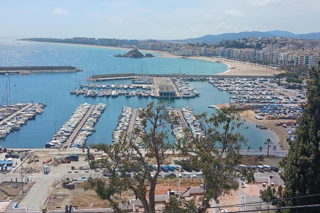 Alegre Apto Con Piscina, A 300M De La Playa. Blanes Bagian luar foto