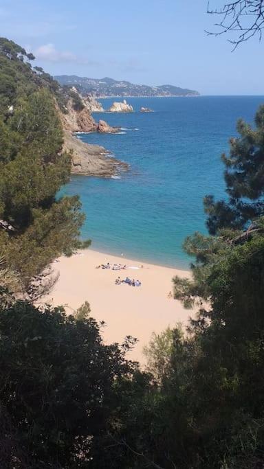 Alegre Apto Con Piscina, A 300M De La Playa. Blanes Bagian luar foto
