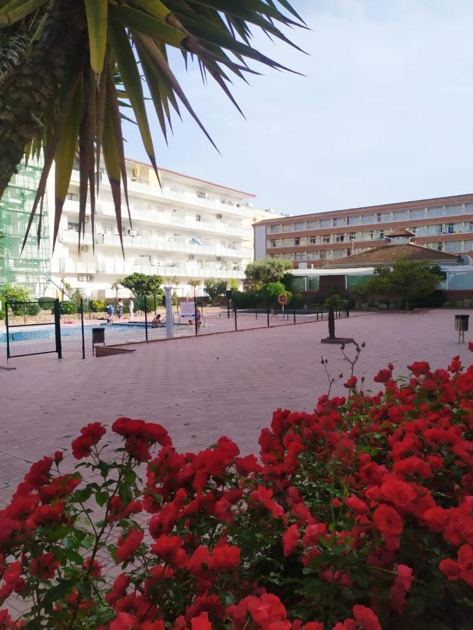 Alegre Apto Con Piscina, A 300M De La Playa. Blanes Bagian luar foto